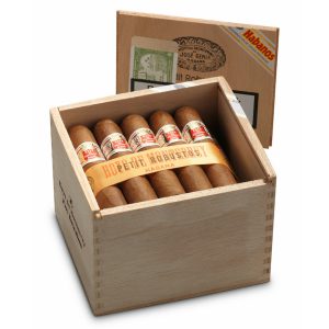 HOYO DE MONTERREY PETIT ROBUSTO CIGAR