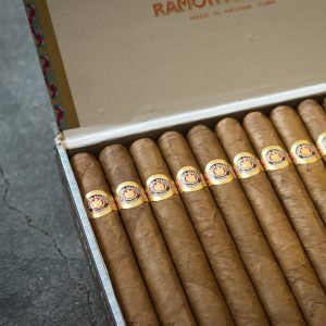 Ramón Allones Gigantes Cigar